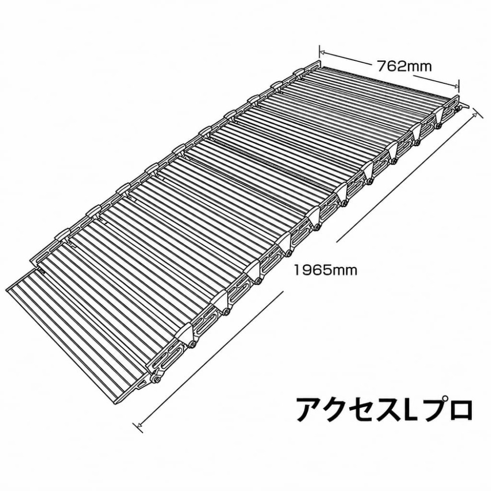 A shop 幹上がりセローム　高さ約８０センチ 幹の高さ約４０センチ 09101205_6aa21e7cebb.jpg