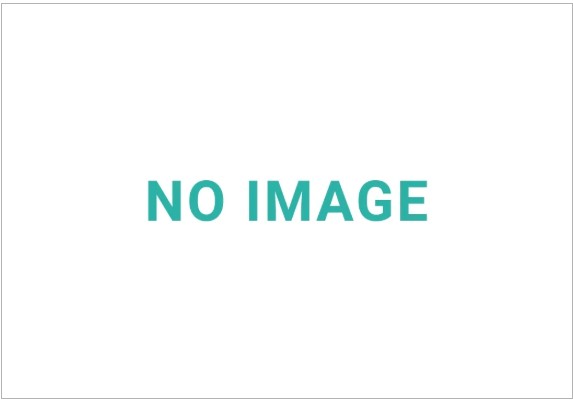 アラオ プライマー 【1巻】 点字パネル下地処理用 0.8㎏
